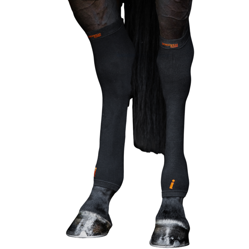 Circulation Hock Sleeves posteriore Incrediwear Equine
