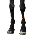 Circulation Hock Sleeves Incrediwear Equine
