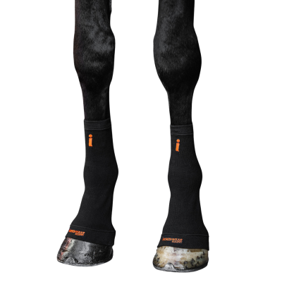 Circulation Hock Sleeves Incrediwear Equine