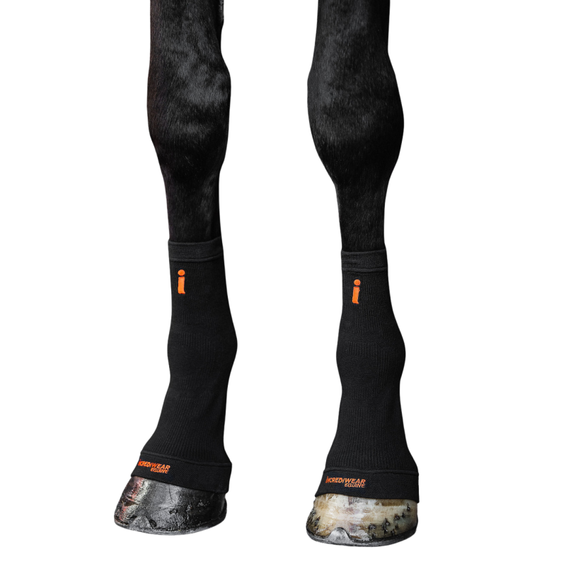 Circulation Hock Sleeves Incrediwear Equine