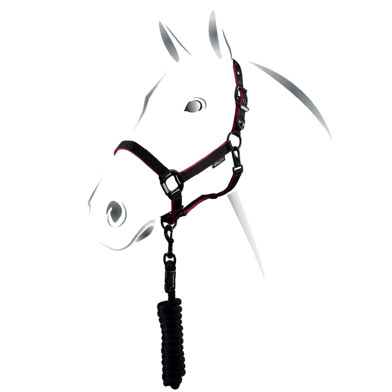 capezza modello black Equestro
