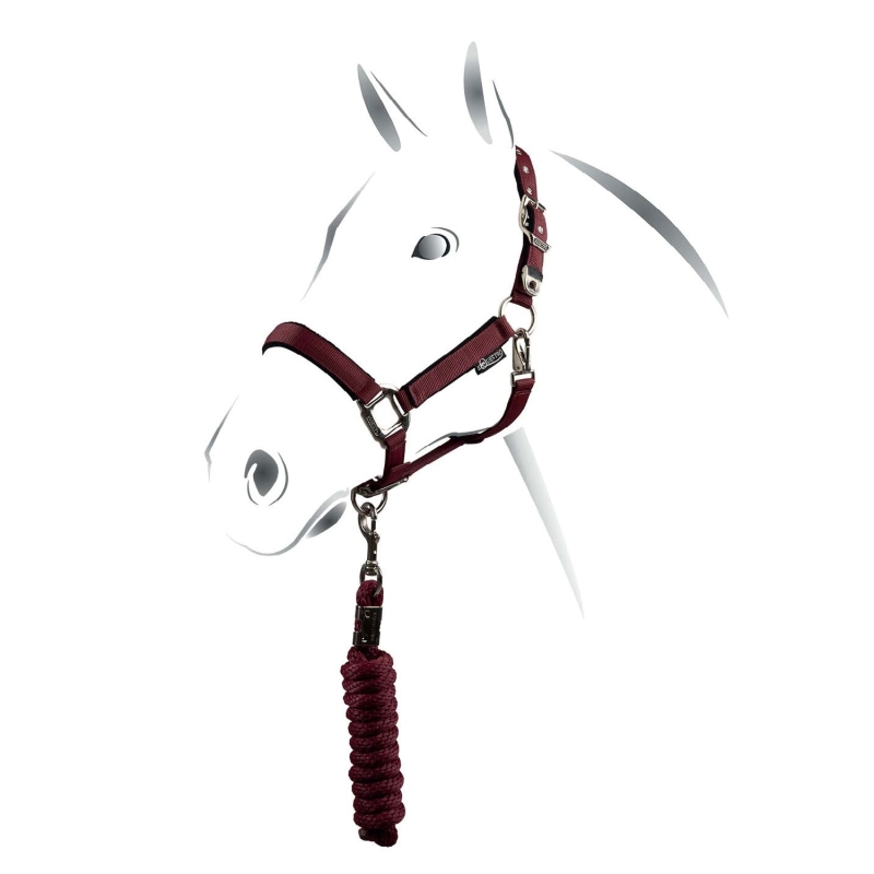 capezza modello shiny  equestro