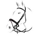 Testiera modello stitched Equestro 