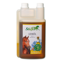 Stiefel leinol olio di lino 1Lt