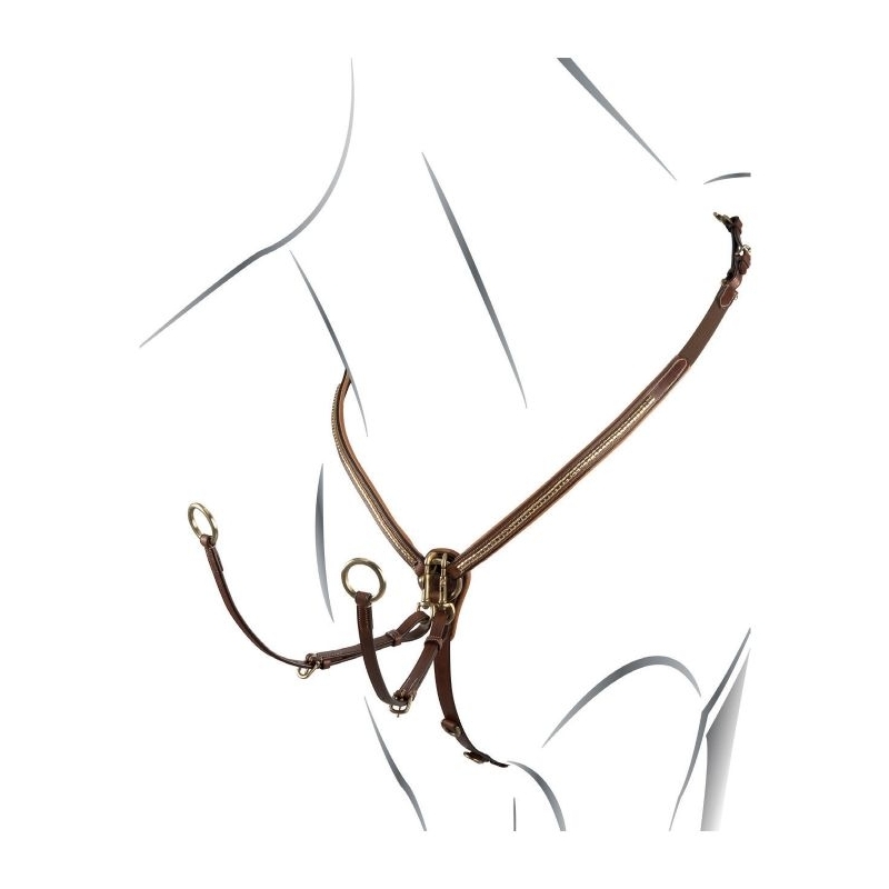 Equestro pettorale con clincher