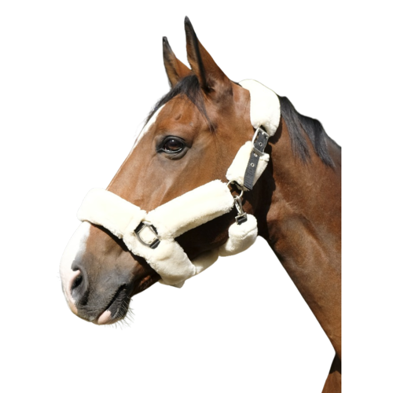 Capezza modello Teddy Equitheme