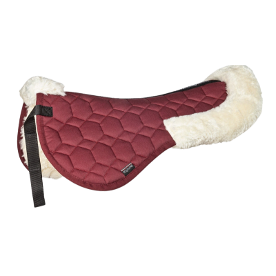 Agnellino modello Exatron Cloud Equiline