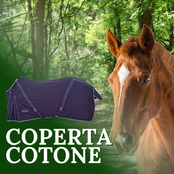 Coperte in cotone