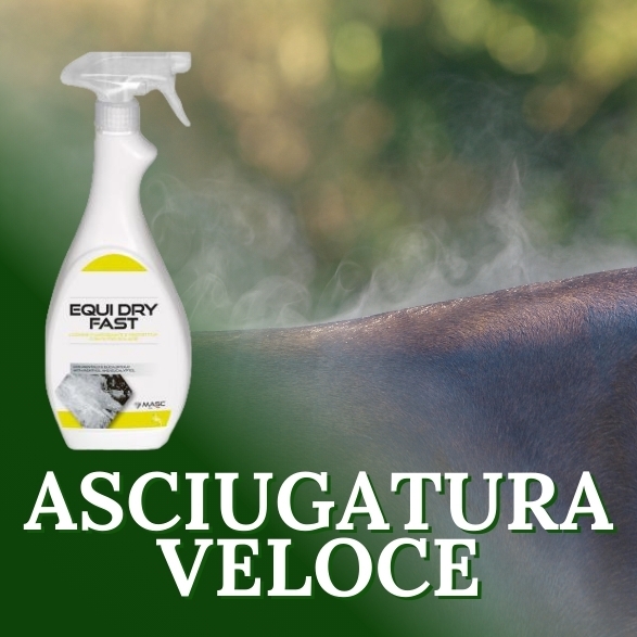 Asciugatura Veloce