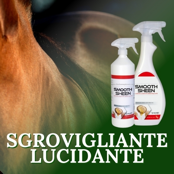 Sgrovigliante e lucidante